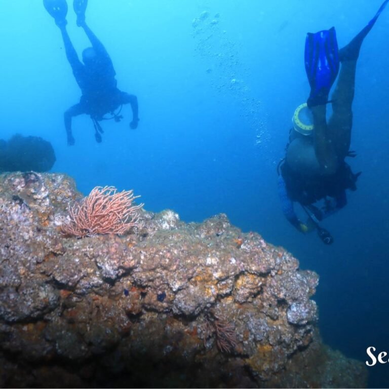 462315138_122105999756552062_4024125882712791963_n